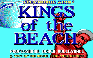 Kings of the Beach Kings of the beach download BestOldGamesnet