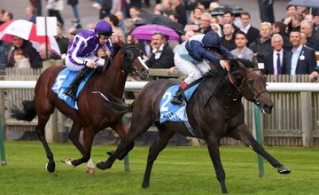 Kingston Hill (horse) Kingston Hill supplemented for Racing Post Trophy Horse Racing