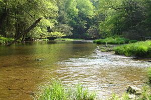 Kinzua Creek httpsuploadwikimediaorgwikipediacommonsthu