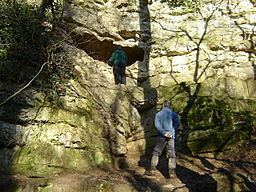 Kirkdale Cave httpsuploadwikimediaorgwikipediacommonsthu