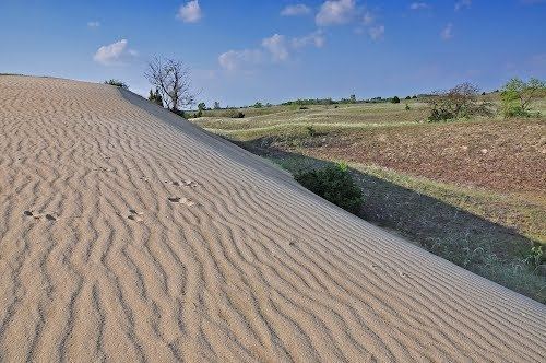 Kiskunság Panoramio Photo of Sand dune Kiskunsg National Park