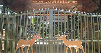Kisumu Impala Sanctuary Impala Sanctuary