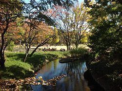 Kitanomaru Park httpsuploadwikimediaorgwikipediacommonsthu
