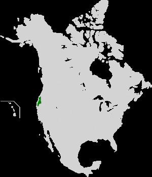 Klamath Mountains (ecoregion) httpsuploadwikimediaorgwikipediacommonsthu