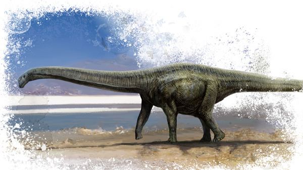 Klamelisaurus klamelisaurus gobiensis by cheungchungtat on DeviantArt