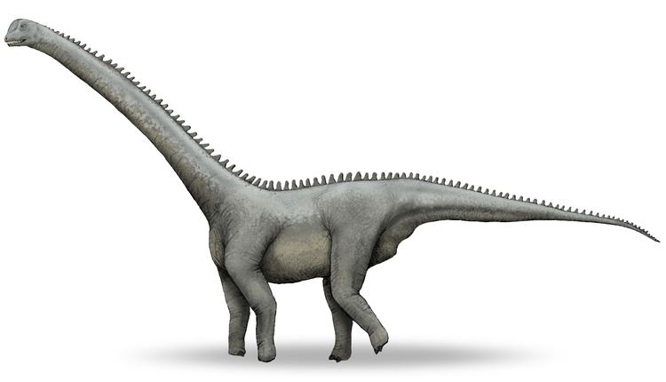 Klamelisaurus FileKlamelisaurusv1jpg Wikimedia Commons