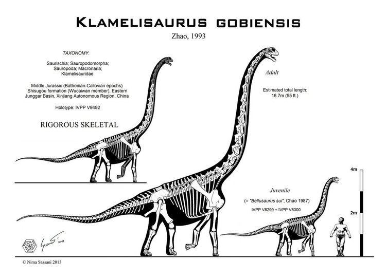 Klamelisaurus Klamelisaurus gobiensis skeletal by PaleoKing on DeviantArt