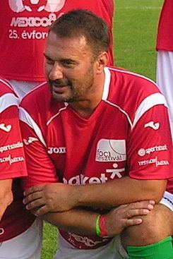 Kálmán Kovács (footballer, born 1965) httpsuploadwikimediaorgwikipediacommonsthu