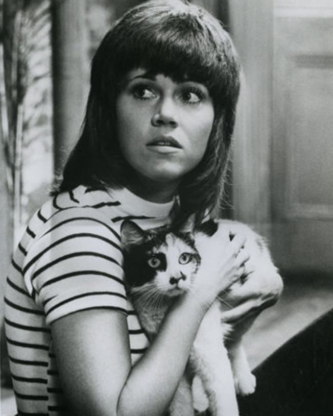 Klute Klute 1971 Cinema Cats