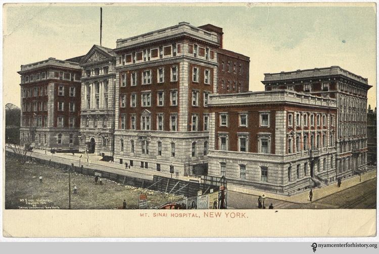 Knickerbocker Hospital Building The Knick New Hospitals of the Turn of the Century Books