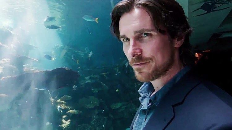 Knight of Cups (film) 8 Reasons Why Knight of Cups Is Terrence Malicks Best Film So Far