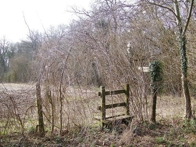 Knighton Downs and Wood