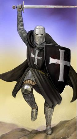 Knights Hospitaller Epic World History Knights Templar Knights Hospitallers and
