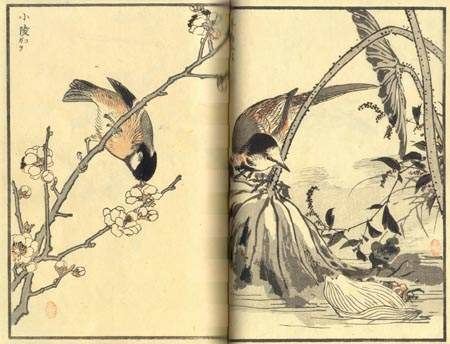 Kōno Bairei Bairei Hyakucho Gafu Bairei39s Album of One Hundred Birds 1881