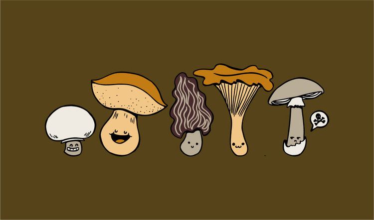 Know Your Mushrooms Know your mushrooms by Eudocia on DeviantArt