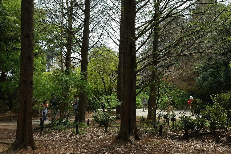 Kobe Municipal Arboretum