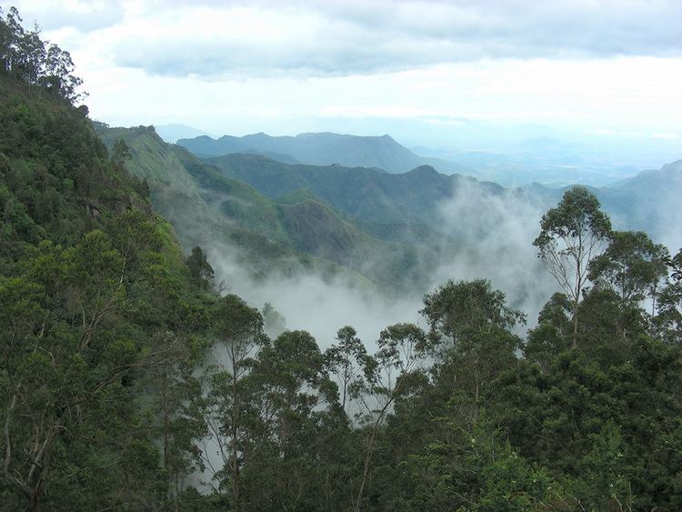 Kodaikanal Beautiful Landscapes of Kodaikanal