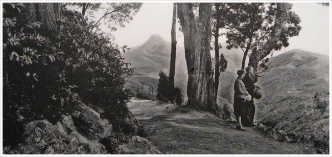 Kodaikanal in the past, History of Kodaikanal