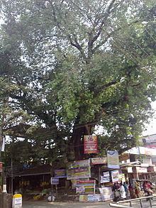 Kodaly, Thrissur httpsuploadwikimediaorgwikipediacommonsthu