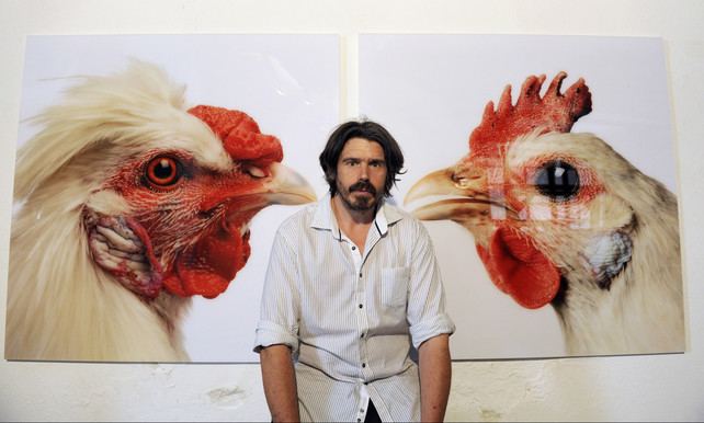 Koen Vanmechelen Hybride kippen van kunstenaar Koen Vanmechelen nu ook in Londen