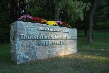 Koffler Scientific Reserve Koffler Scientific Reserve Joker39s Hill Trail Walk GTA North