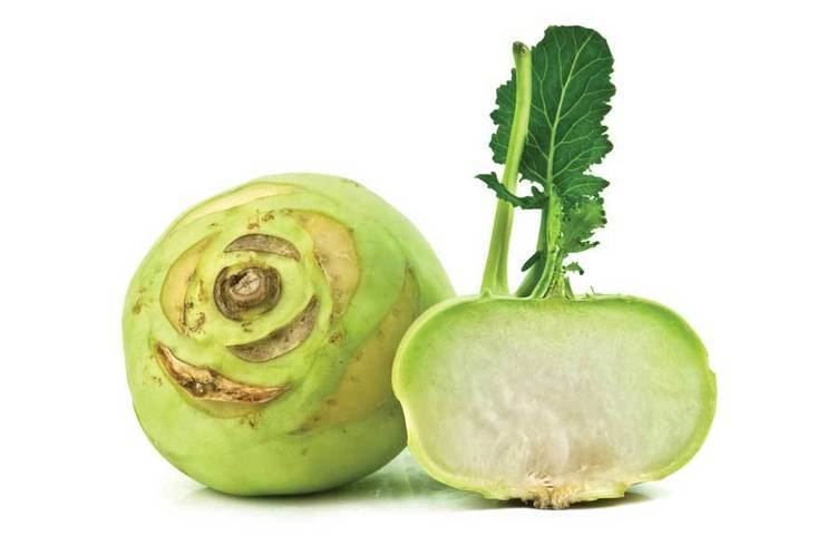 Kohlrabi Kohlrabi