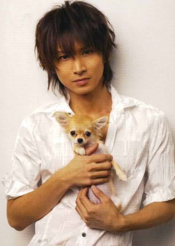 Koichi Domoto Domoto Koichi39s lovable dog quotPanquot makes appearance at