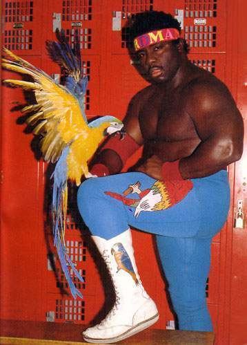 Koko B. Ware Koko B Ware wrestling legend Wrestling Pinterest Ware FC