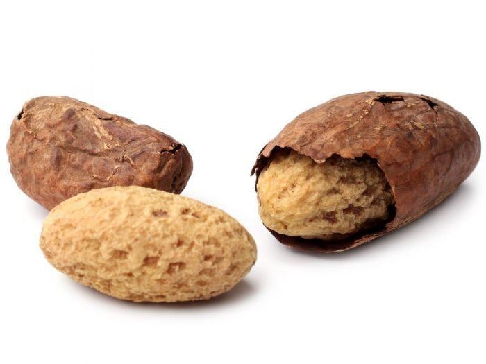 Kola nut 5 Top Benefits of Kola Nut Organic Facts