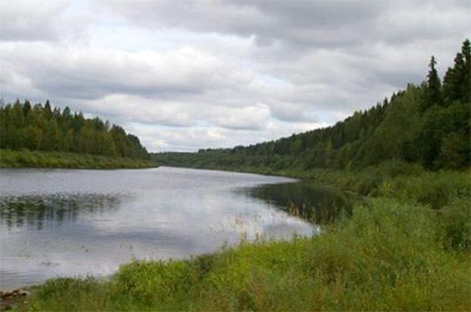 Kologrivsky Nature Reserve sofarruwpcontentuploadsunzhajpg
