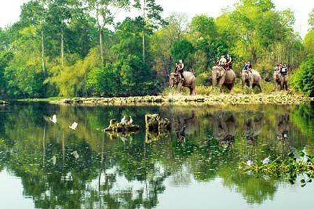 Kon Ka Kinh National Park The fight to keep langurs swinging free Hanoi Tours