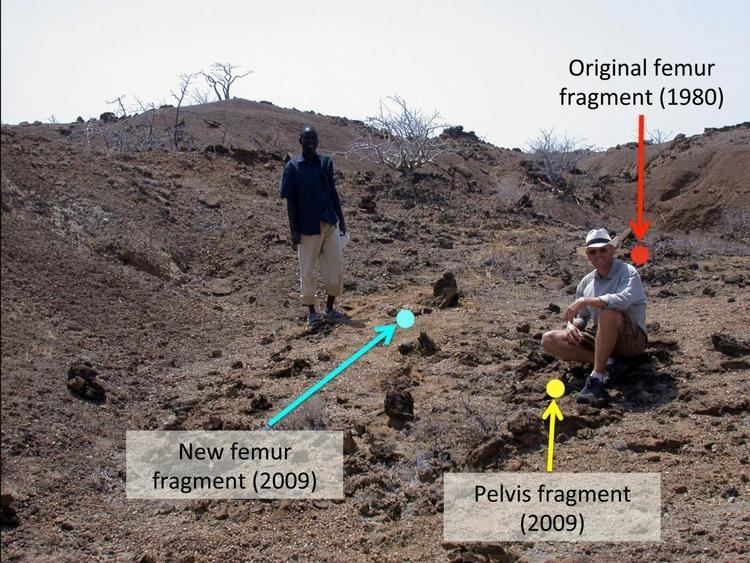 Koobi Fora Koobi Fora Kenya Dig Site image EurekAlert Science News