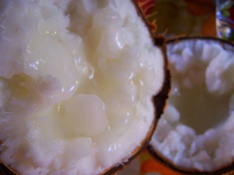 Kopyor coconut Kopyor coconut Wikipedia