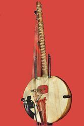 Kora, a long-necked harp lute made of wood and nylon strings.