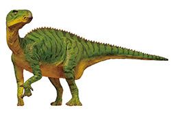 Koshisaurus FPDM Dinosaur Catalog Koshisaurus katsuyama