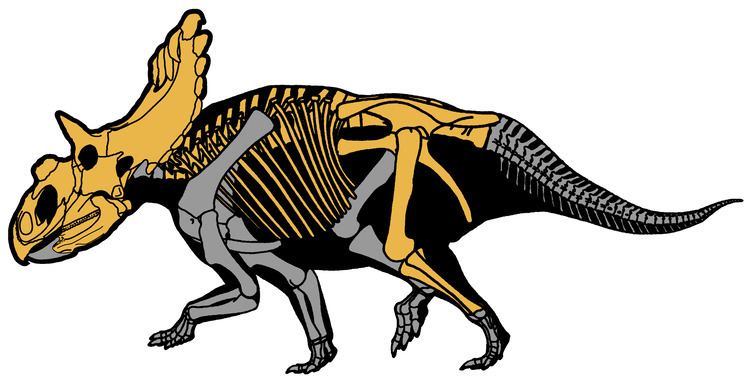 Kosmoceratops Kosmoceratops Wikiwand
