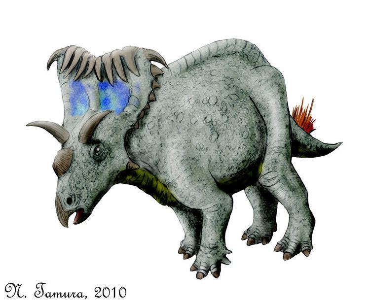 Kosmoceratops kosmoceratops DeviantArt