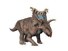 Kosmoceratops httpsuploadwikimediaorgwikipediacommonsthu
