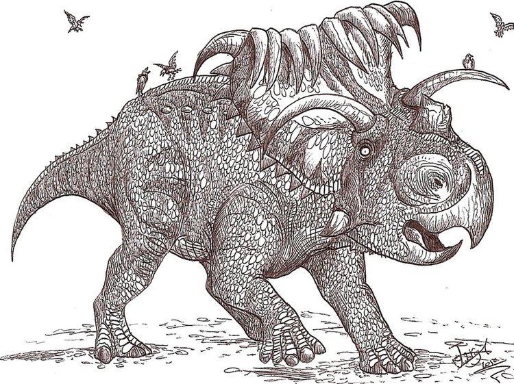 Kosmoceratops Kosmoceratops by HodariNundu on DeviantArt