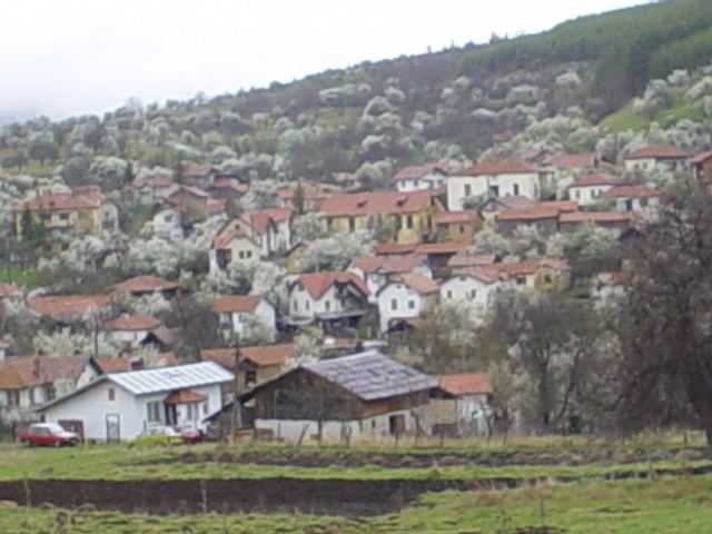 Kosovo, Kyustendil Province