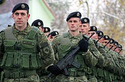 Kosovo Security Force Kosovo Security Force Wikipedia