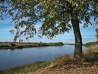 Kostroma River httpsuploadwikimediaorgwikipediacommonsthu