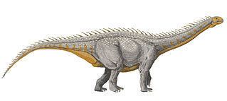 Kotasaurus Kotasaurus Wikipedie