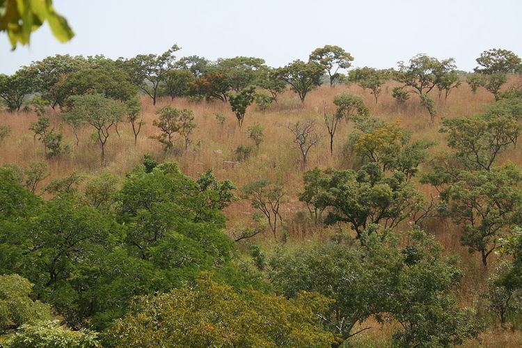 Kourtiagou Reserve