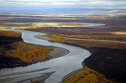 Koyukuk River httpsuploadwikimediaorgwikipediacommonsthu