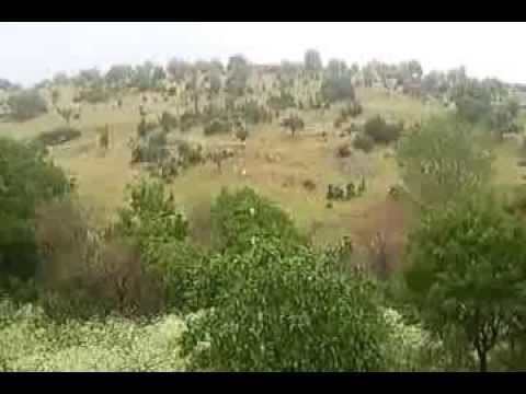 Kozalan, Beypazarı httpsiytimgcomvi0NNZIOpKhlshqdefaultjpg