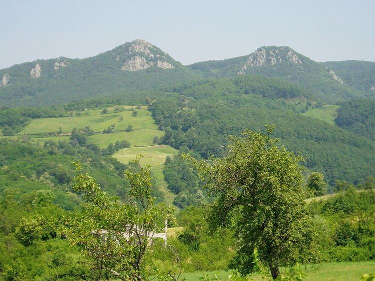 Kozara National Park