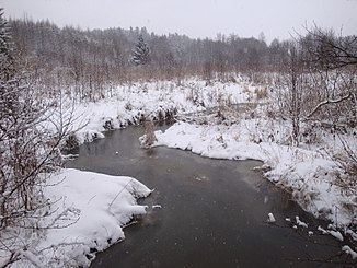 Krasnaya River httpsuploadwikimediaorgwikipediacommonsthu
