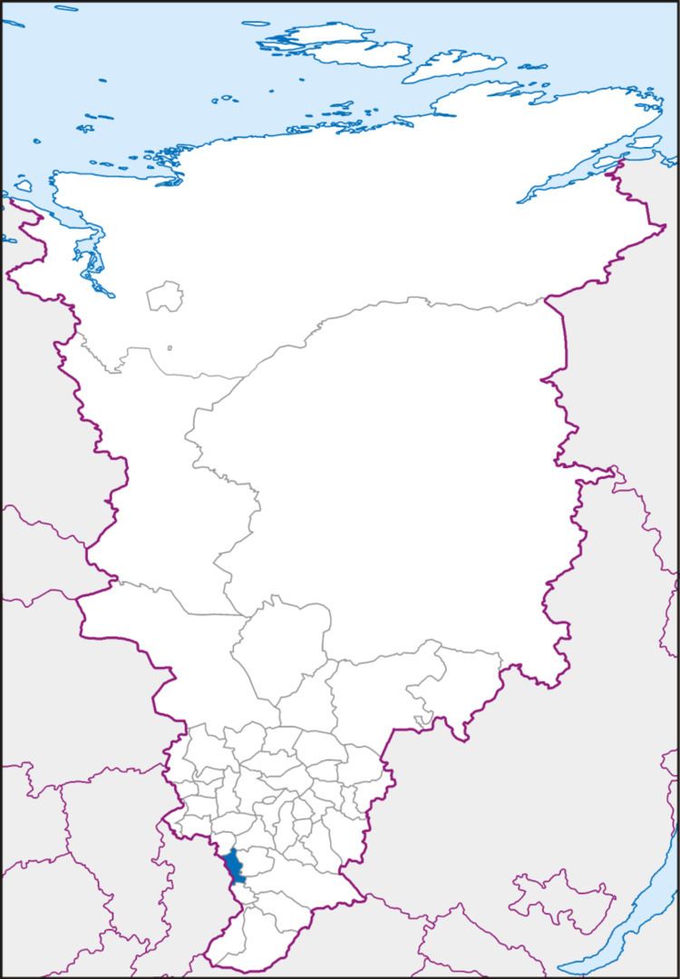Krasnoturansky District