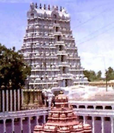 Krishnapuram Venkatachalapathy temple Krishnapuram Temple Tirunelveli TripAdvisor